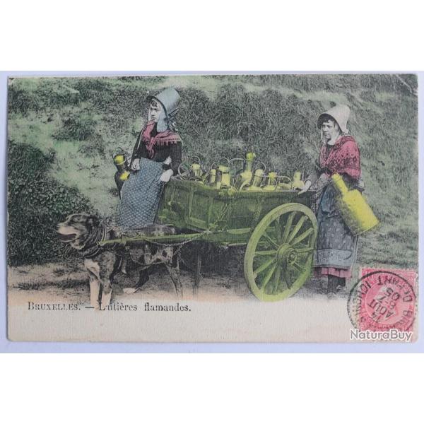 CPA Belgique Bruxelles Laiti�res Flamandes Attelage de chiens
