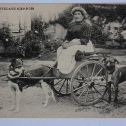 CPA Loiret Gien Attelage Giennois Voiture à chien