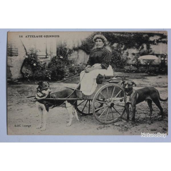 CPA Loiret Gien Attelage Giennois Voiture � chien