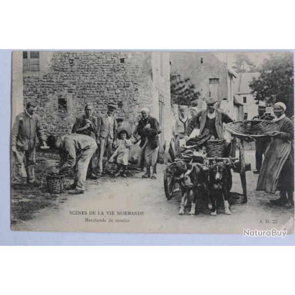 CPA Sc�nes de la Vie Normande Marchands de Moules Voiture � chien
