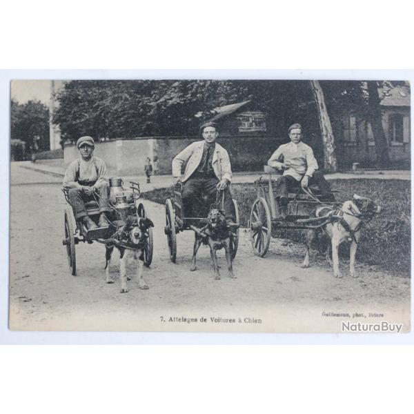 CPA Loiret Attelages de voitures � chien Guillemeau Briare