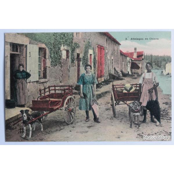 CPA Loiret Attelage de chien S�rie Orl�ans �d. Lenormand