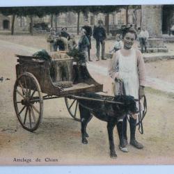 CPA Loiret Attelage de chien Série Orléans éd. Lenormand