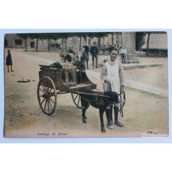 CPA Loiret Attelage de chien S�rie Orl�ans �d. Lenormand