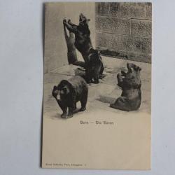 CPA Berne Die Bären Fosse aux Ours Suisse