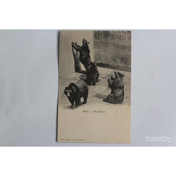 CPA Berne Die B�ren Fosse aux Ours Suisse