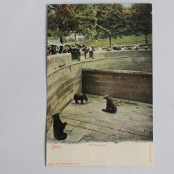 CPA Berne Bärengraben Fosse aux Ours Suisse