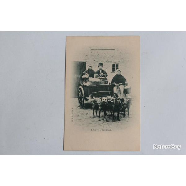 CPA Belgique Laiti�res Flamandes Attelage de chiens