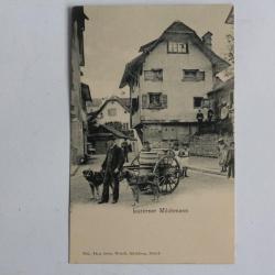 CPA Suisse Luzerner Milchmann Laitier de Lucerne Attelage de chiens