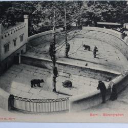 CPA Berne Bärengraben Fosse aux Ours Suisse