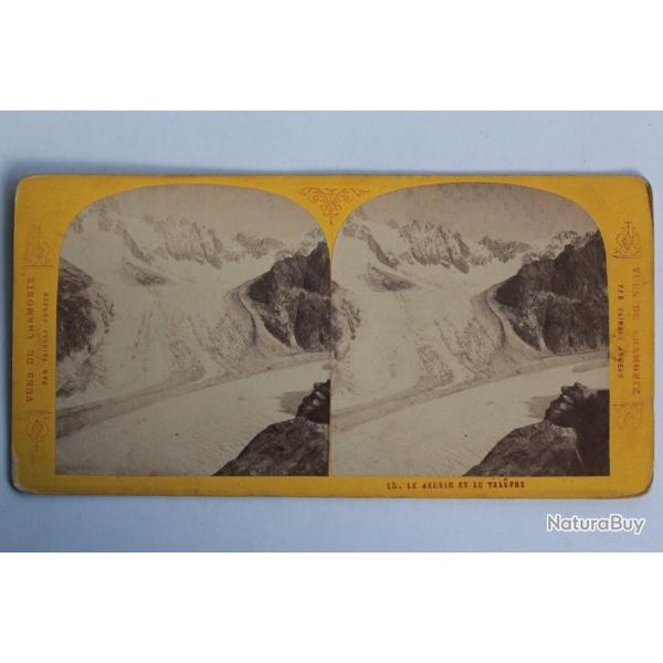 Photographie Vue st�r�o Le jardin et le Tal�fre Chamonix