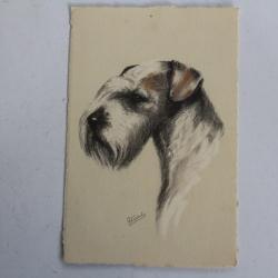 CPA illustrée Gauli Chien Sealyham Terrier