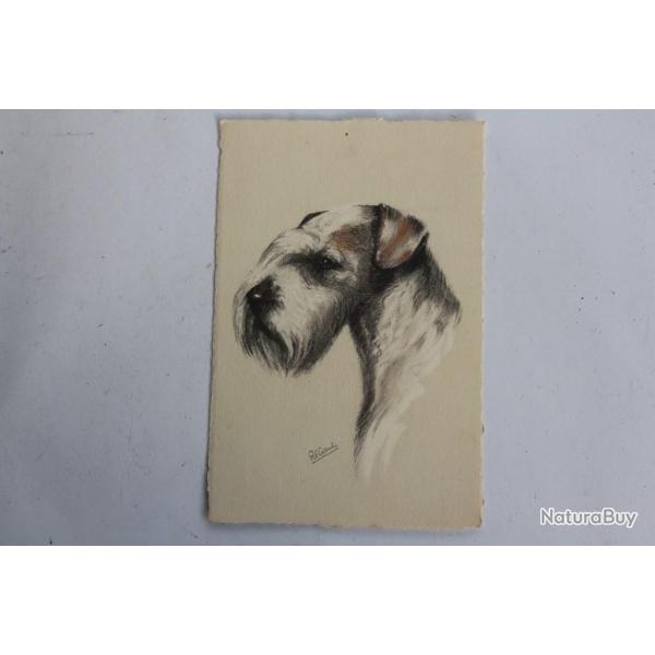 CPA illustr�e Gauli Chien Sealyham Terrier