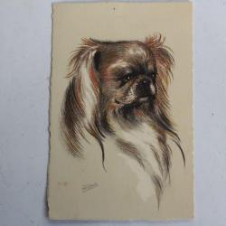 CPA illustrée Gauli Chien Pekingese Pékinois