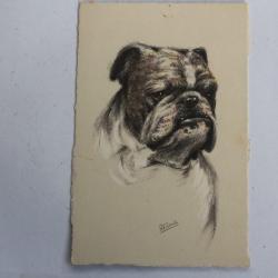 CPA illustrée Gauli Chien English Bulldog Bouledogue