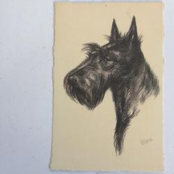 CPA illustrée Gauli Chien Scotch Terrier / Terrier Écossais
