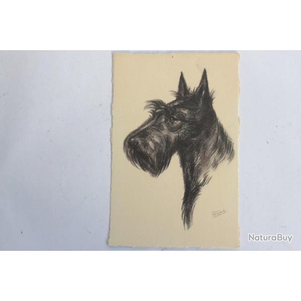 CPA illustr�e Gauli Chien Scotch Terrier / Terrier �cossais