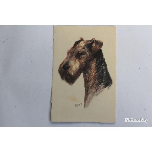 CPA illustr�e Gauli Chien Airedale Terrier