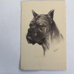 CPA illustrée Gauli Chien Boxer
