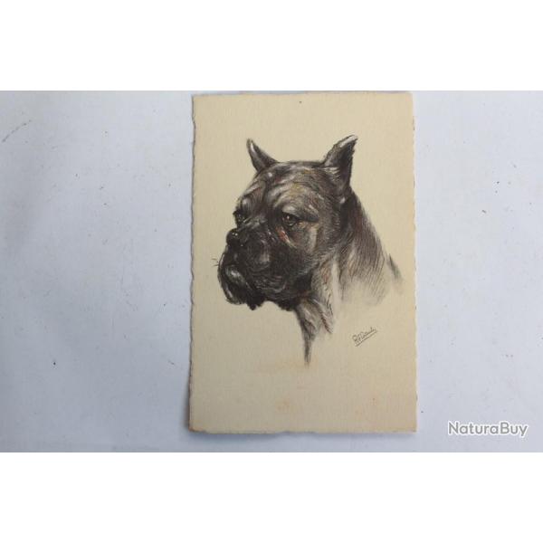 CPA illustre Gauli Chien Boxer