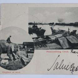 CPA Myanmar Poozoondoung Creek Elephant at work Birmanie