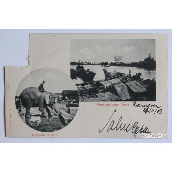 CPA Myanmar Poozoondoung Creek Elephant at work Birmanie