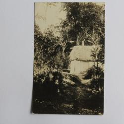 CPA Haïti Little Grey home