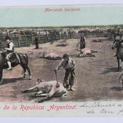 CPA Argentine Saludo de la Republica Argentina Marcando Hacienda