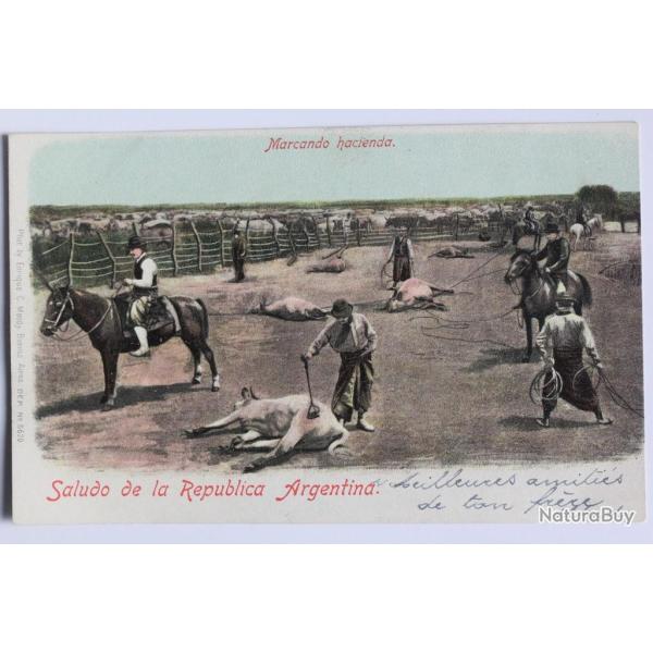 CPA Argentine Saludo de la Republica Argentina Marcando Hacienda