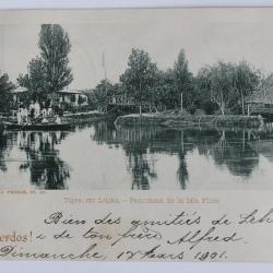CPA Argentine Tigre Rio Luj&aacute;n Panorama de la Isla Flora