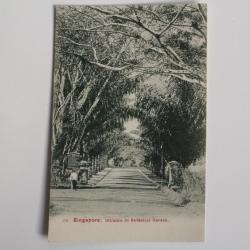 CPA Singapour Singapore Intrance to Botanical Garden