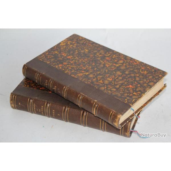 Livres La France Nos fautes nos p�rils notre avenir A. Gasparin 1873