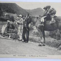 CPA Taninges La Mont&eacute;e au Praz-de-Lys Haute-Savoie