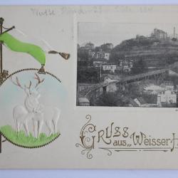 CPA gaufr&eacute;e Gruss aus Weisser Hirsch Dresden Allemagne
