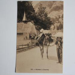 CPA Muletier &agrave; Charmey Fribourg Suisse
