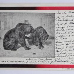 CPA Bern Barengraben Kaiser Suisse Ours Berne Suisse
