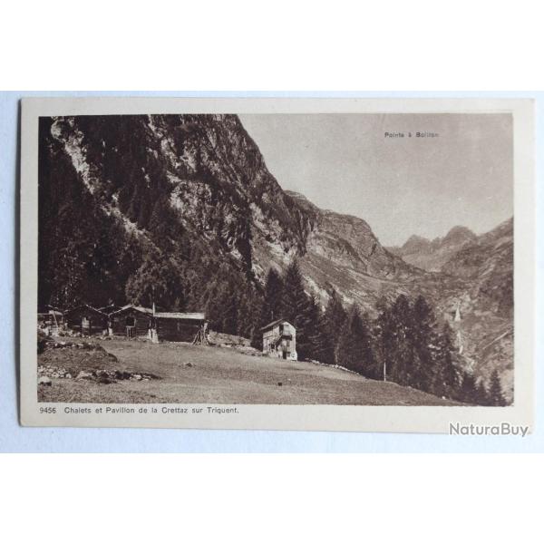 CPA Chalets et Pavillon de la Crettaz sur Triquent Valais Suisse