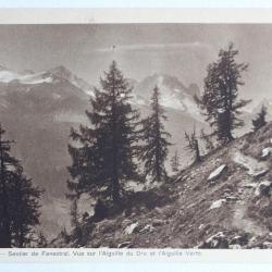 CPA Sentier de Fenestral Aiguille Dru Aiguille Verte Valais Suisse