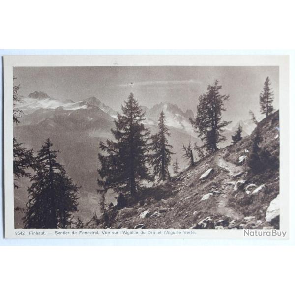 CPA Sentier de Fenestral Aiguille Dru Aiguille Verte Valais Suisse