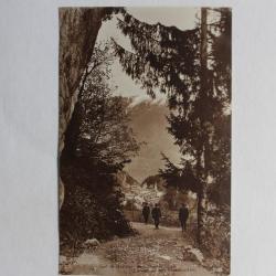 CPA Sur le chemin des Marécottes Salvan Valais Suisse