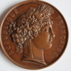Médaille République française Société d'agriculture de l'Ain