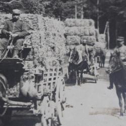 Photographies guerre 1914-18 ravitaillement Alsace militaria