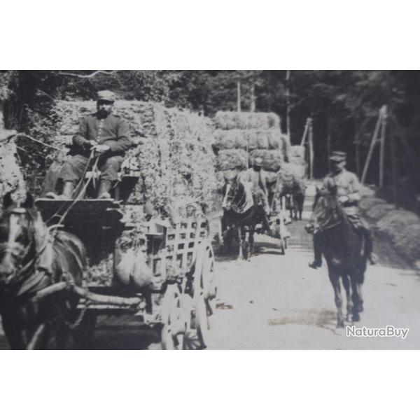 Photographies guerre 1914-18 ravitaillement Alsace militaria