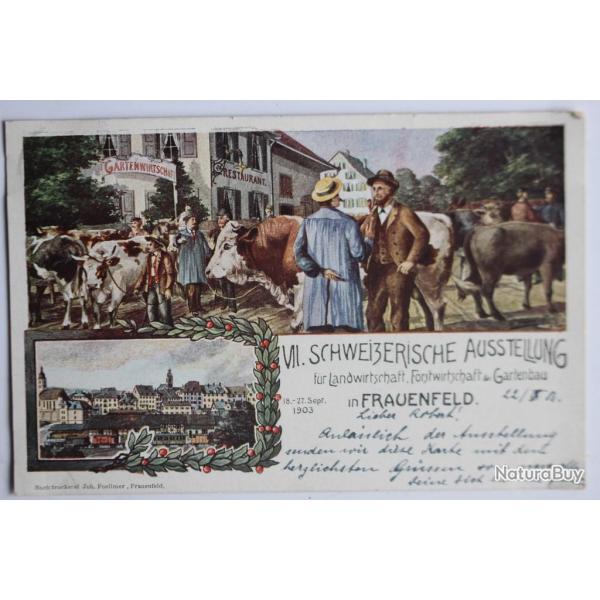 Carte postale ancienne Schweizerische Ausstellung Frauenfeld 1903 Suisse