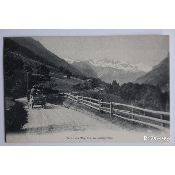 Carte postale ancienne Partie am Weg in's Weisstannenthal Suisse