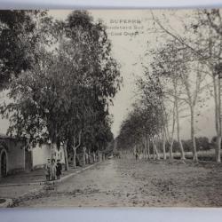 Carte postale ancienne Duperré Boulevard Sud Côté ouest Algérie
