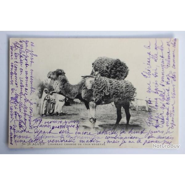 Carte postale ancienne Alger Chameau charg� de crin v�g�tal Alg�rie