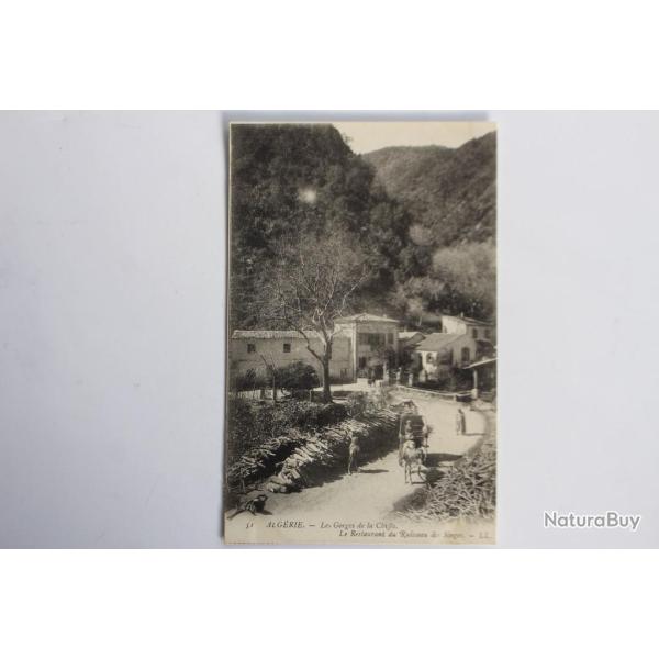 Carte postale ancienne Les gorges de la Chiffa Restaurant Alg�rie