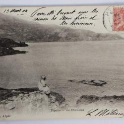 Carte postale ancienne Tipaza Le Chenoua Algérie