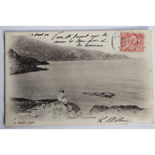 Carte postale ancienne Tipaza Le Chenoua Alg�rie